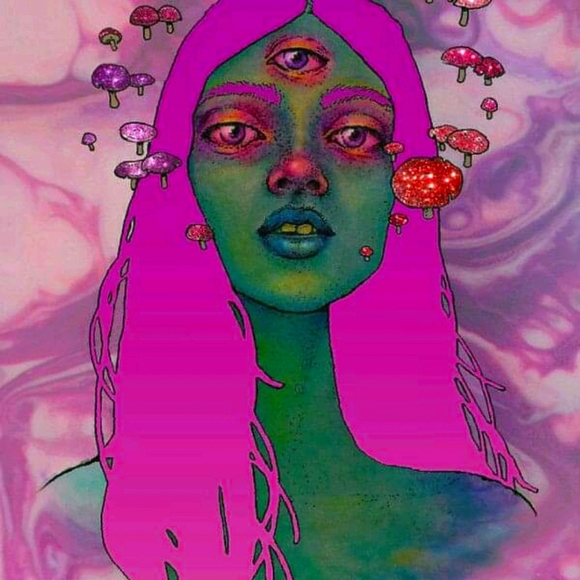 🍄🍄🍄🍄🍄🍄🍄🍄 - Picture 3 of 16